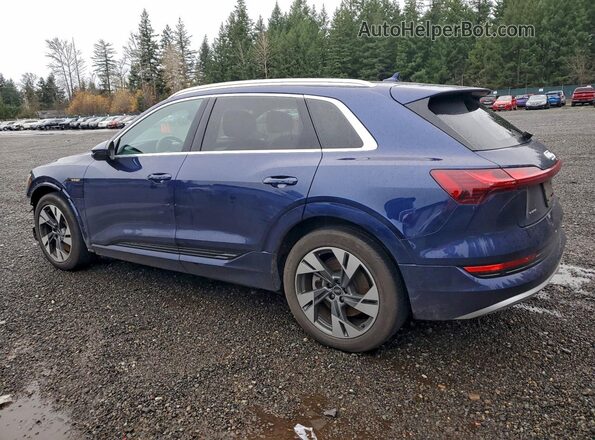 WA1AAAGE7MB013695 2021 AUDI E-TRON Blue უკანა მარცხენა