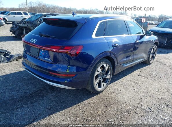 WA1AAAGEXMB013559 2021 AUDI E-TRON Blue უკანა მარჯვენა