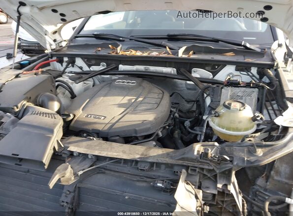 WA1ANAFY5J2004506 2018 AUDI Q5 Белый Вид сзади