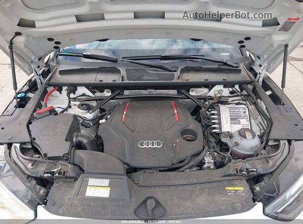 WA1B4AFY3R2044957 2024 AUDI SQ5 Белый Вид сзади