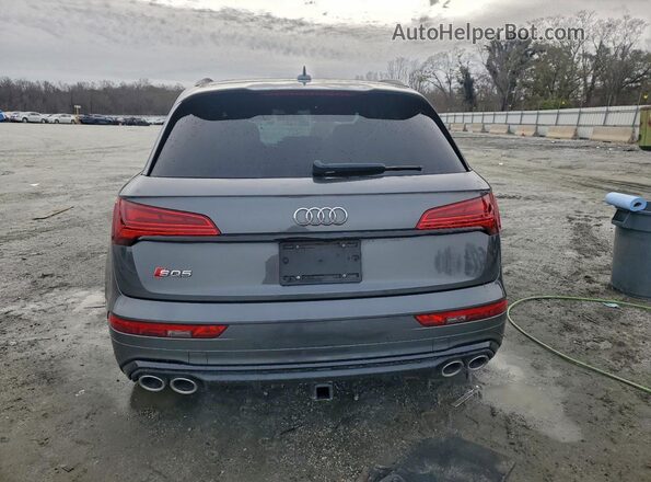 WA1B4AFY4P2036346 2023 AUDI SQ5 Серый Вид сзади