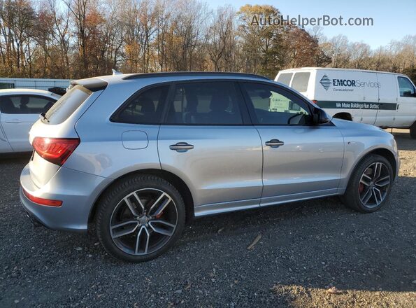 WA1CCAFP7HA062283 2017 AUDI SQ5 Silver Հետևի աջ