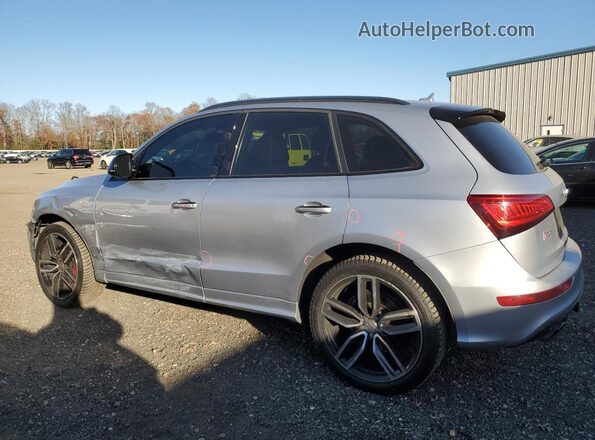 WA1CCAFP7HA062283 2017 AUDI SQ5 Silver Հետևի ձախ