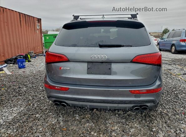 WA1CCAFP9GA037111 2016 AUDI SQ5 Gray Rear view