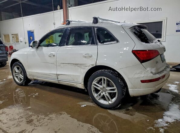 WA1L2AFP5HA059482 2017 AUDI Q5 White Հետևի ձախ