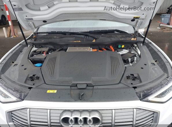 WA1LAAGE1KB023810 2019 AUDI E-TRON Белый Вид сзади