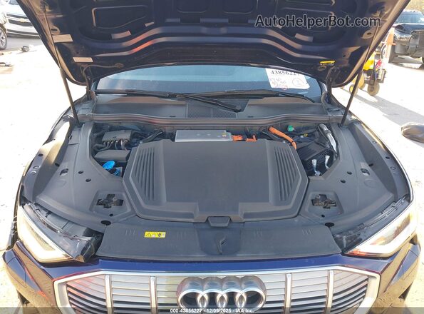 WA1LAAGE2MB016318 2021 AUDI E-TRON Blue უკანა ხედი