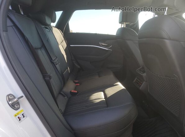 WA1VABGE9PB001916 2023 AUDI E-TRON Белый Вид задней части салона
