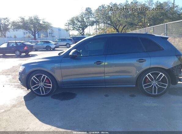 WA1VCAFP7HA007678 2017 AUDI SQ5 Серый Панорамный вид салона 360°