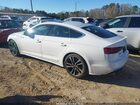 2025 Audi S5 Sportback Premium Tfsi Quattro Tiptronic White vin: WAUA4CF52SA004705