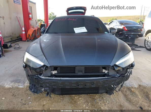 WAUA4CF57MA028341 2021 AUDI S5 Gray Սալոնի հետևի տեսք