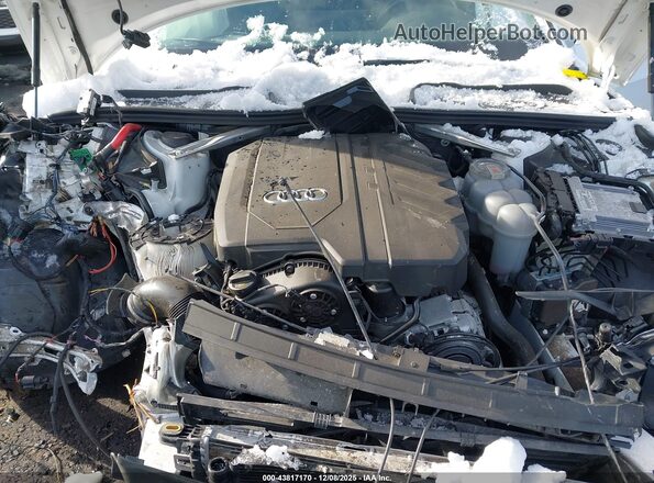 WAUABAF40MA042776 2021 AUDI OTHER Белый Вид сзади