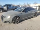 2019 Audi S5 Premium Plus Gray vin: WAUB4CF56KA005800