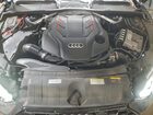 2021 Audi S5 Prestige Серый vin: WAUB4CF58MA023461