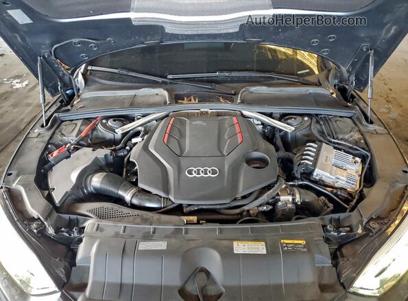 WAUC4CF53PA048891 2023 AUDI S5 Серый Вид задней части салона