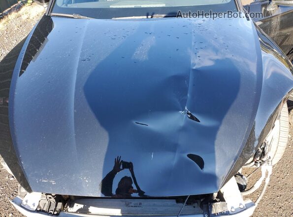 WAUC4CF56MA026752 2021 AUDI S5 Черный Вид задней части салона