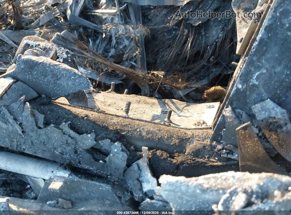 WB523CF07SCU84352 2025 BMW IX White Շարժիչի բաժամունքի տեսք