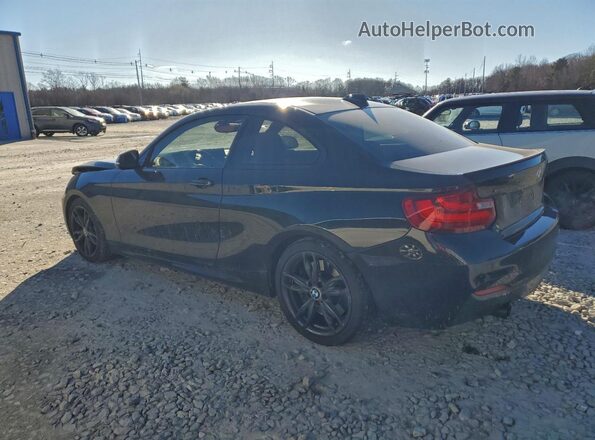 WBA1J9C51GV372177 2016 BMW M2 Черный Задняя левая четверть