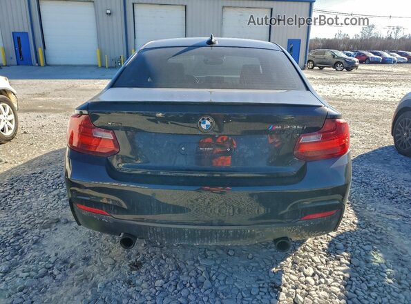 WBA1J9C51GV372177 2016 BMW M2 Черный Вид сзади