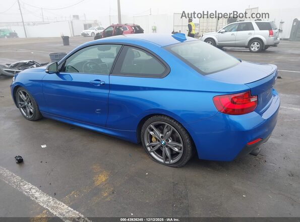 WBA2G1C58HV638834 2017 BMW M2 Blue Tył lewy