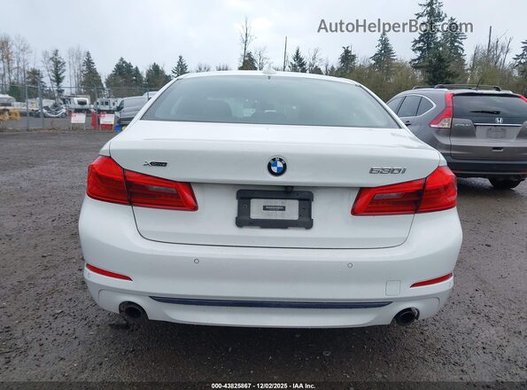 WBAJR7C05LCE63074 2020 BMW 5 SERIES Белый 