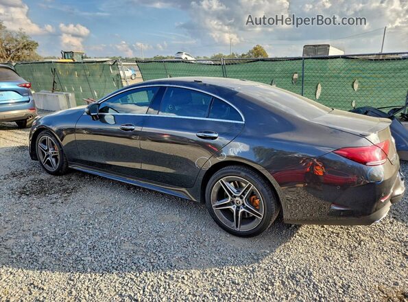 WDD2J5JB9LA052847 2020 MERCEDES-BENZ CLS-CLASS Gray Trasero izquierdo