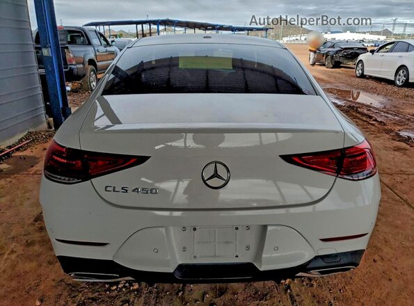 WDD2J5JBXKA010332 2019 MERCEDES-BENZ CLS-CLASS White Widok z tyłu