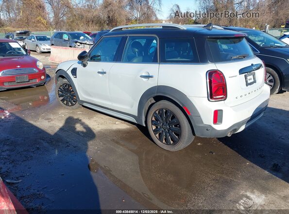 WMZ23BR06M3M77065 2021 MINI COUNTRYMAN White Tył lewy