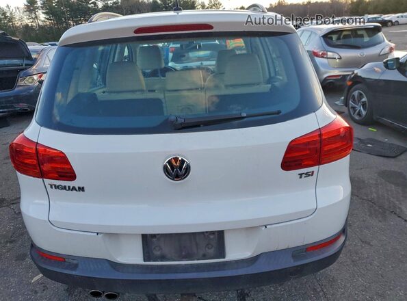WVGAV7AX9GW575288 2016 VOLKSWAGEN TIGUAN Белый Вид сзади