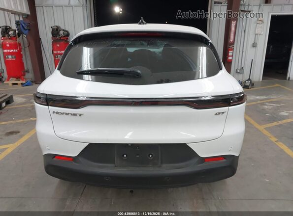 ZACNDFAN0S3A46097 2025 DODGE OTHER White 