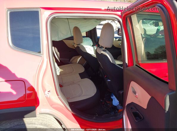 ZACNJABB5KPK08196 2019 JEEP RENEGADE Красный Вид наклейки с VIN-кодом