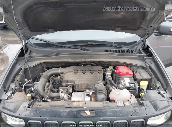 ZACNJDC12MPM68856 2021 JEEP RENEGADE Gray უკანა ხედი