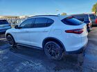 2020 Alfa Romeo Stelvio Белый vin: ZASPAJAN5L7C86121