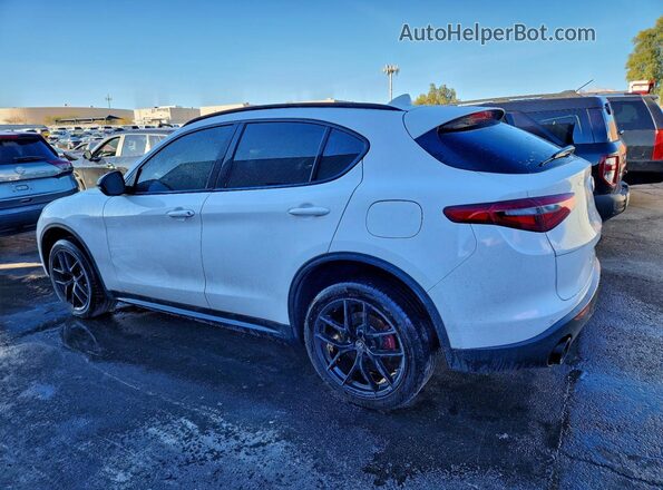 ZASPAJAN5L7C86121 2020 ALFA ROMEO STELVIO Белый Задняя левая четверть