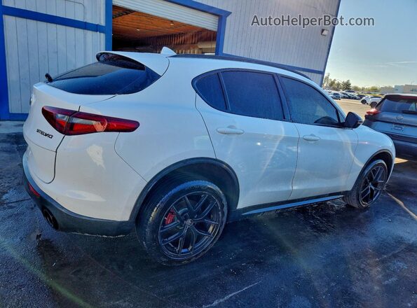 ZASPAJAN5L7C86121 2020 ALFA ROMEO STELVIO Белый Задняя правая четверть