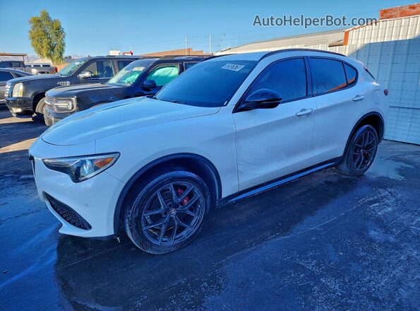 ZASPAJAN5L7C86121 2020 ALFA ROMEO STELVIO Белый Передняя левая четверть