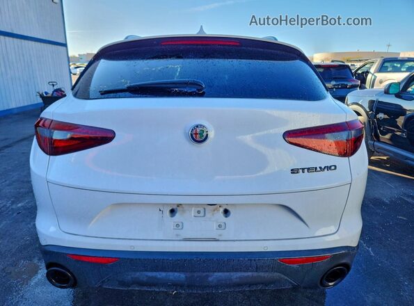 ZASPAJAN5L7C86121 2020 ALFA ROMEO STELVIO Белый Вид сзади