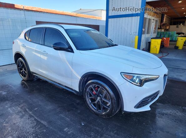 ZASPAJAN5L7C86121 2020 ALFA ROMEO STELVIO Белый Панорамный вид салона 360°