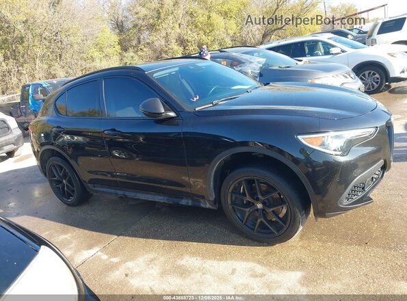 ZASPAJAN6L7C94230 2020 ALFA ROMEO STELVIO Черный Вид задней части салона