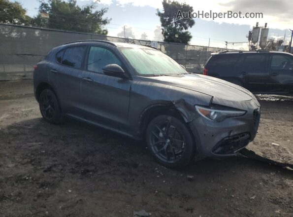 ZASPAJANXM7D09099 2021 ALFA ROMEO STELVIO Gray წინა მარჯვენა