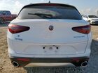 2019 Alfa Romeo Stelvio Белый vin: ZASPAKAN0K7C50972