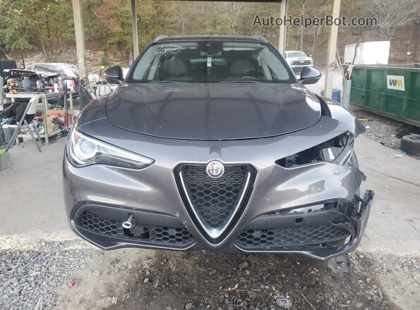 ZASPAKAN3M7D08284 2021 ALFA ROMEO STELVIO Gray წინა ხედი
