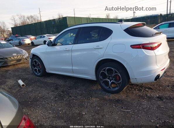 ZASPAKBN2M7D14768 2021 ALFA ROMEO STELVIO Белый Панорамный вид салона 360°