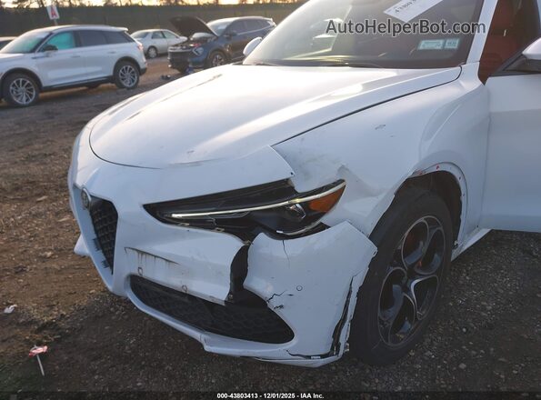 ZASPAKBN2M7D14768 2021 ALFA ROMEO STELVIO Белый Вид спереди