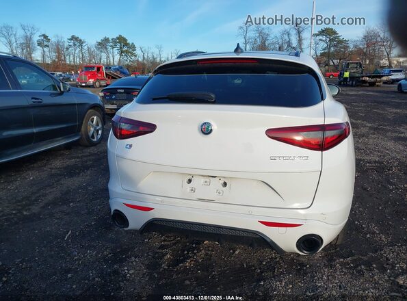 ZASPAKBN2M7D14768 2021 ALFA ROMEO STELVIO Белый 
