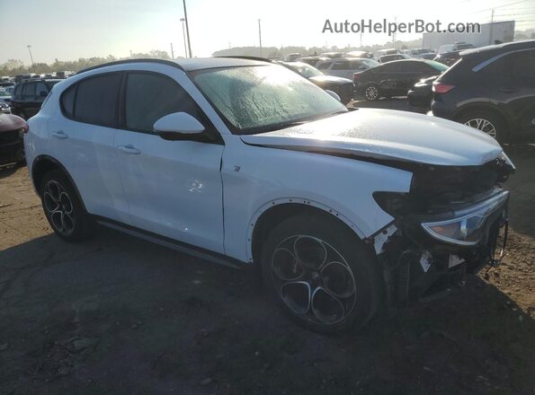 ZASPAKBN2P7D50903 2023 ALFA ROMEO STELVIO White Առջևի աջ