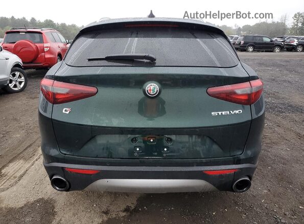 ZASPAKBN4K7C39908 2019 ALFA ROMEO STELVIO Green Widok z tyłu