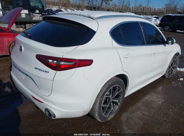 ZASPAKBN4L7C90553 2020 ALFA ROMEO STELVIO Белый Задняя правая четверть