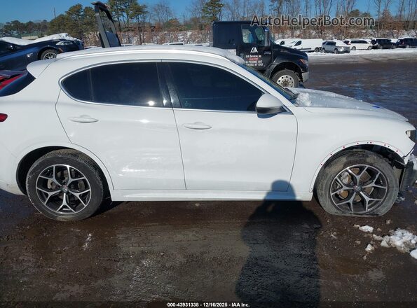 ZASPAKBN4L7C90553 2020 ALFA ROMEO STELVIO Белый Вид задней части салона