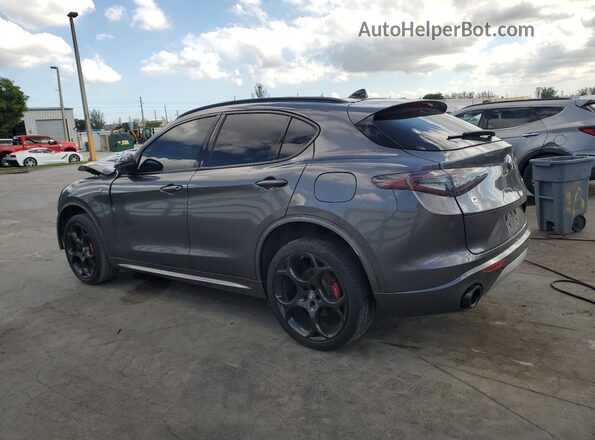 ZASPAKBN5R7D80531 2024 ALFA ROMEO STELVIO Gray Задня ліва чверть